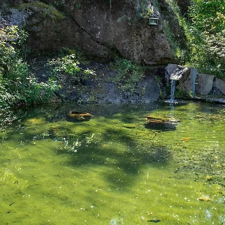 Ferienhaus Casa Da Cerca Parada de Bouro