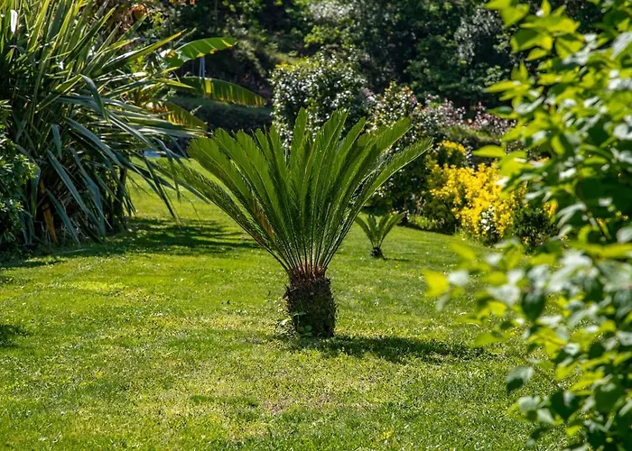 Casa Da Cerca Parada de Bouro